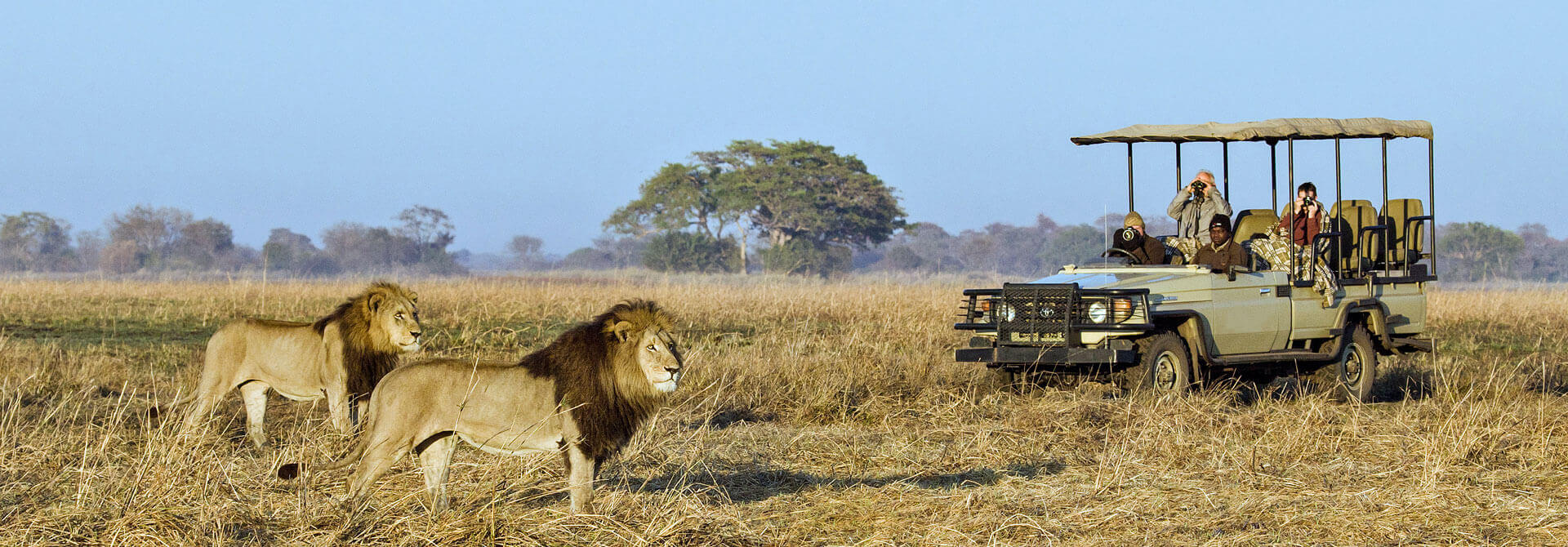 Un safari sur mesure en Afrique, cela vous tente ?